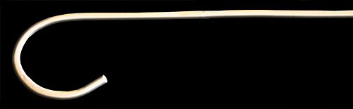 SS_05 Cane