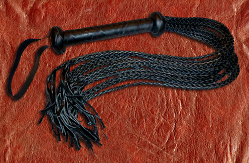 SS_101 Flogger